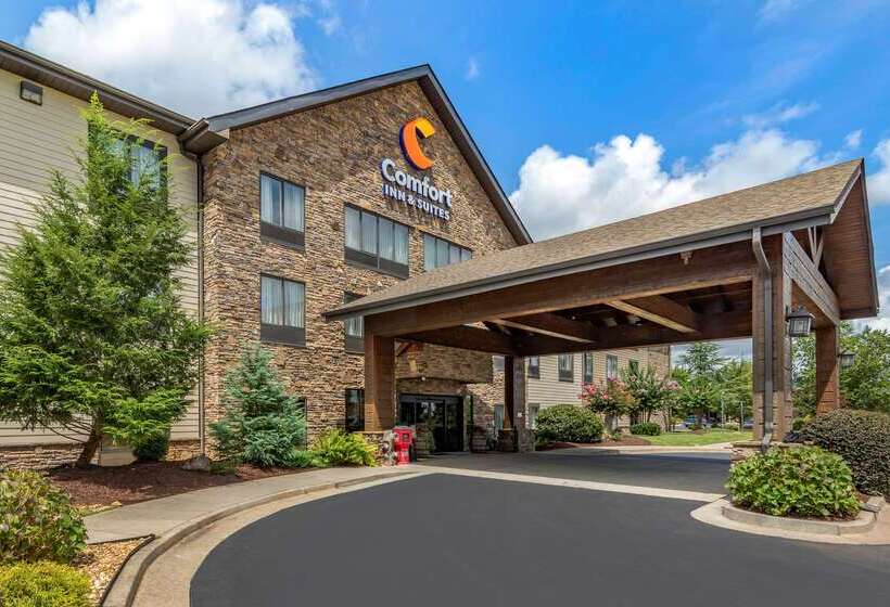 酒店 Comfort Inn & Suites