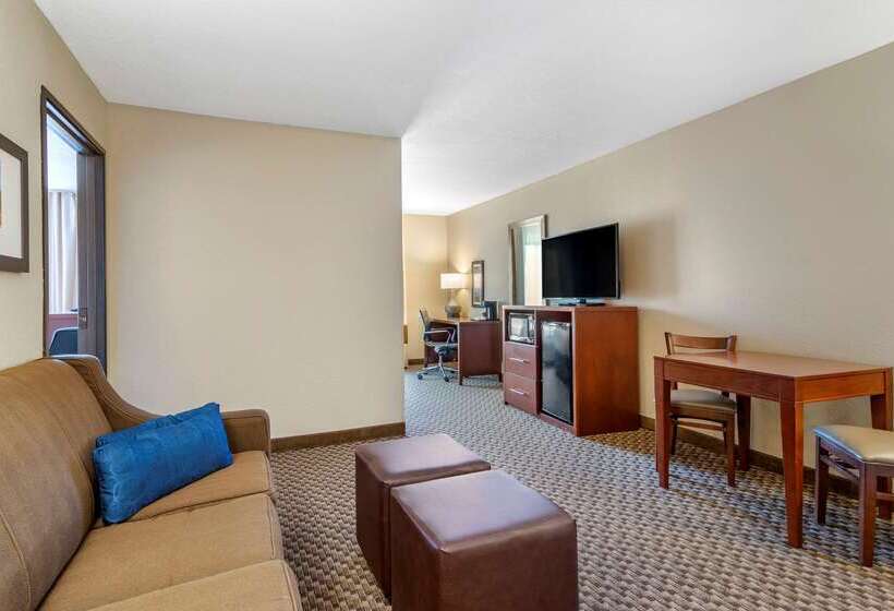 酒店 Comfort Inn & Suites
