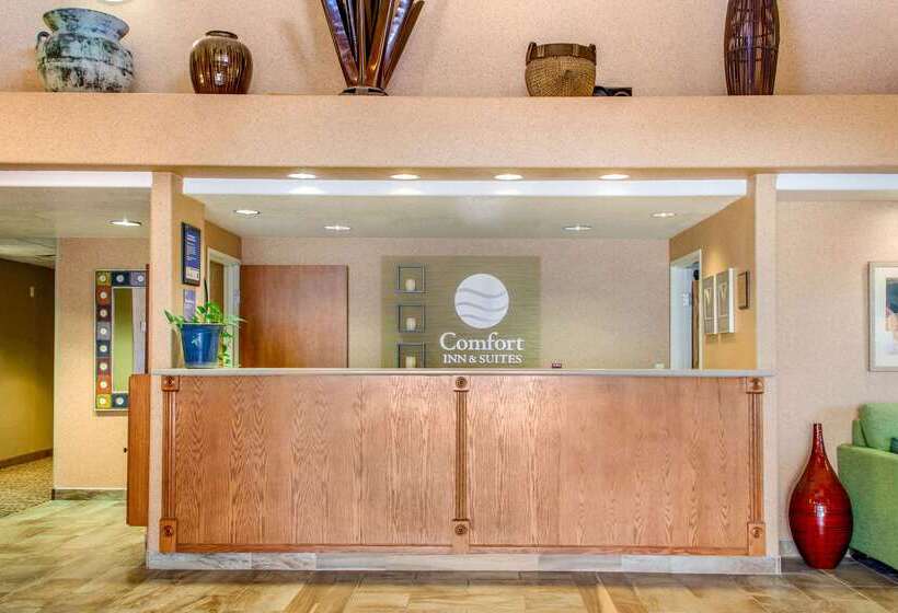 هتل Comfort Inn & Suites I 25 Near Spaceport America