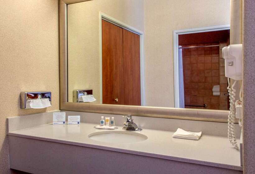 هتل Comfort Inn & Suites I 25 Near Spaceport America