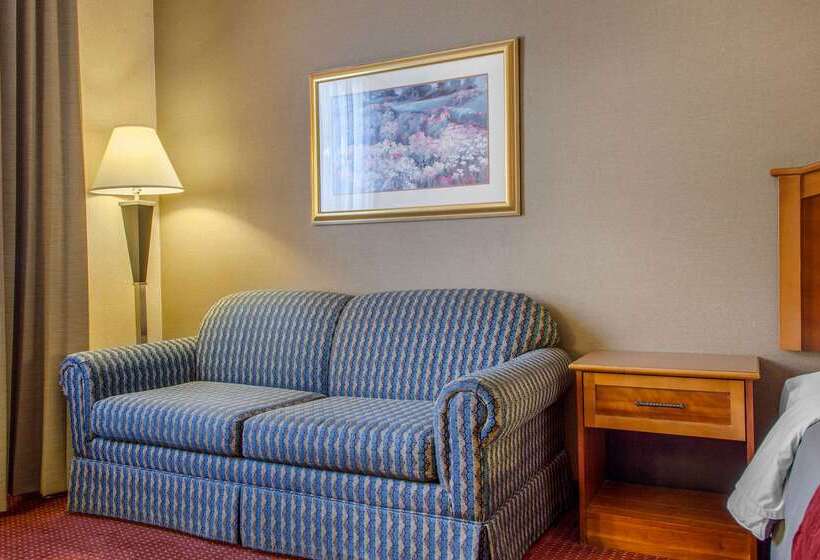 فندق Comfort Inn & Suites I 25 Near Spaceport America