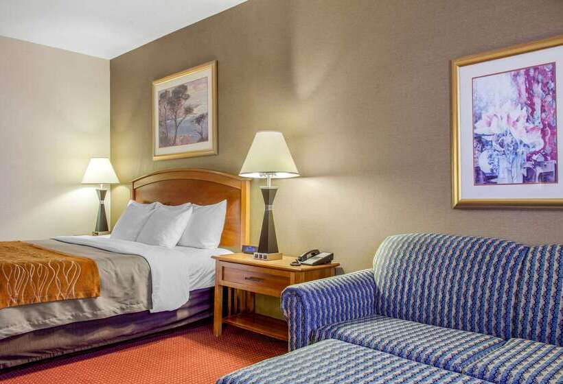 هتل Comfort Inn & Suites I 25 Near Spaceport America