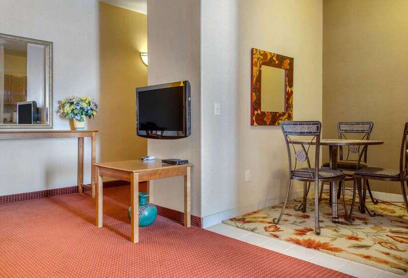 هتل Comfort Inn & Suites I 25 Near Spaceport America