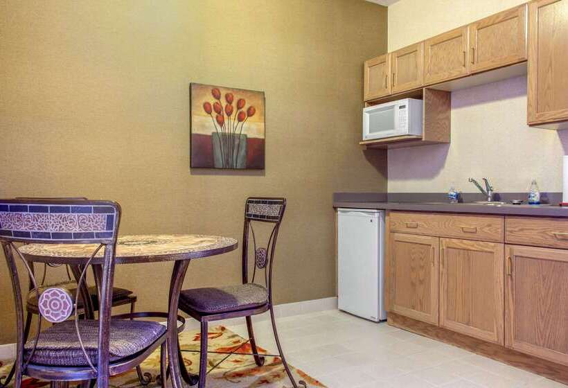 هتل Comfort Inn & Suites I 25 Near Spaceport America