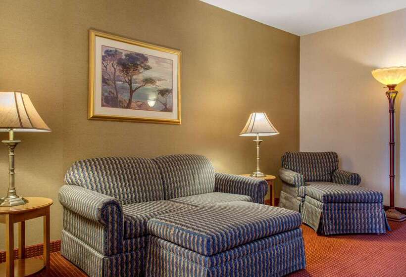 فندق Comfort Inn & Suites I 25 Near Spaceport America