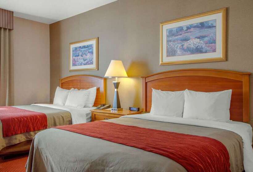 هتل Comfort Inn & Suites I 25 Near Spaceport America