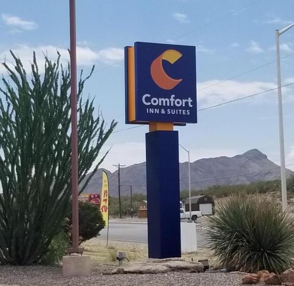 هتل Comfort Inn & Suites I 25 Near Spaceport America