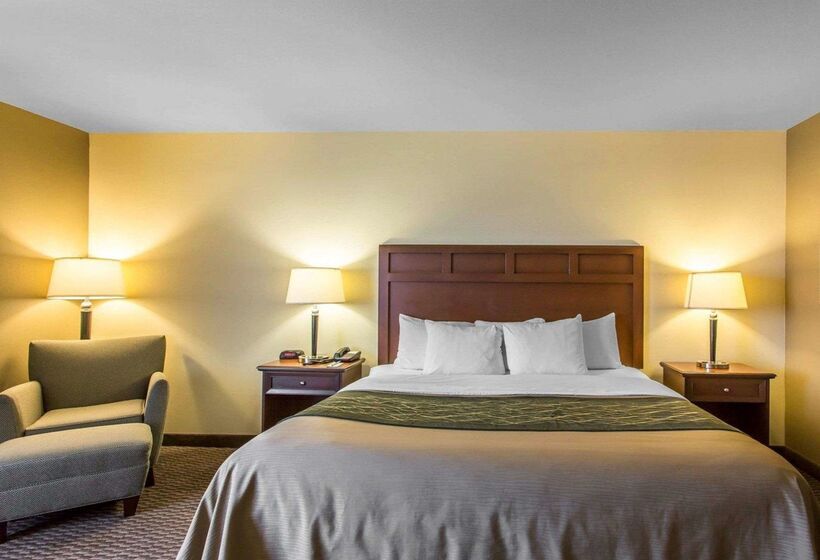 בית מלון כפרי Comfort Inn And Suites