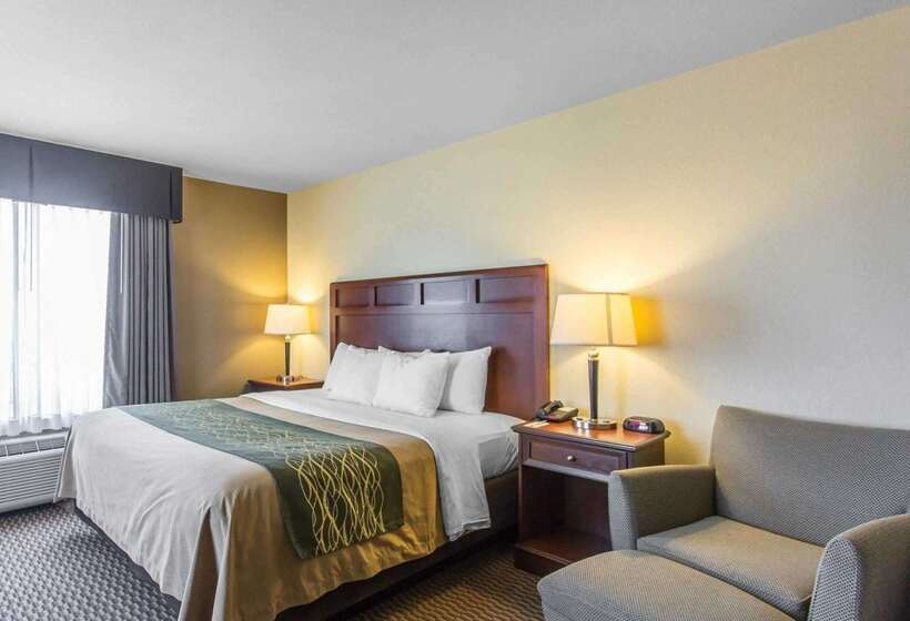 فندق Comfort Inn And Suites