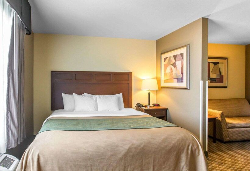 فندق Comfort Inn And Suites