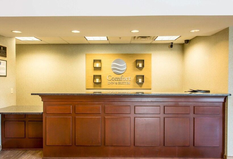 فندق Comfort Inn And Suites