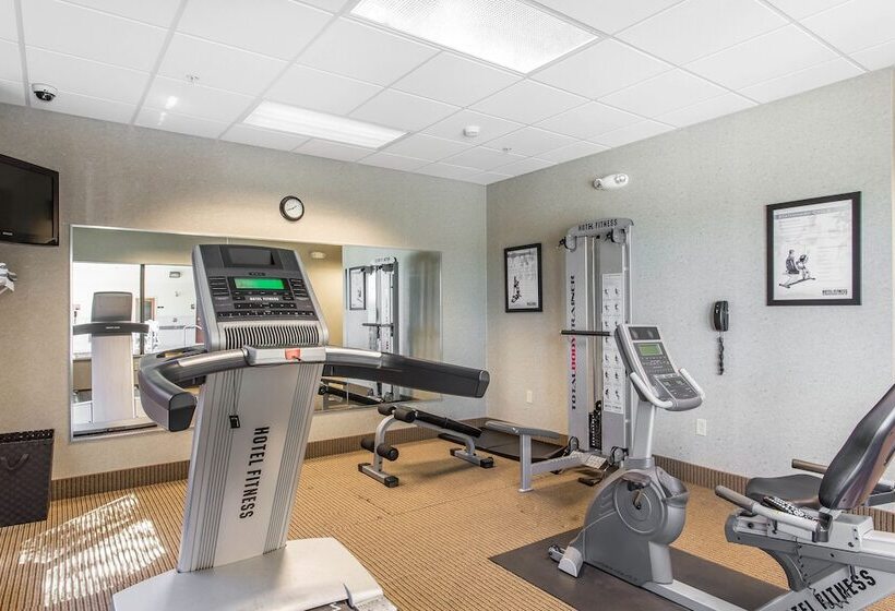 فندق Comfort Inn And Suites