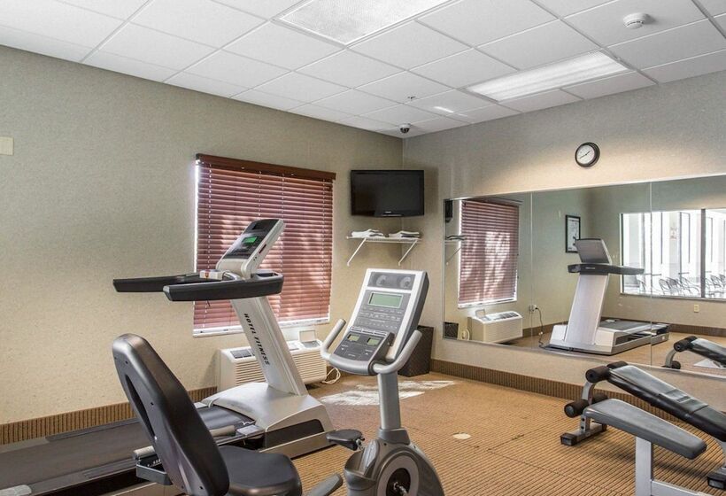 בית מלון כפרי Comfort Inn And Suites