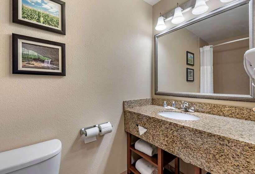 בית מלון כפרי Comfort Inn & Suites