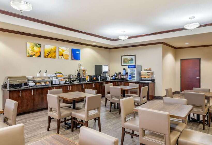 ホテル Comfort Inn & Suites Navasota