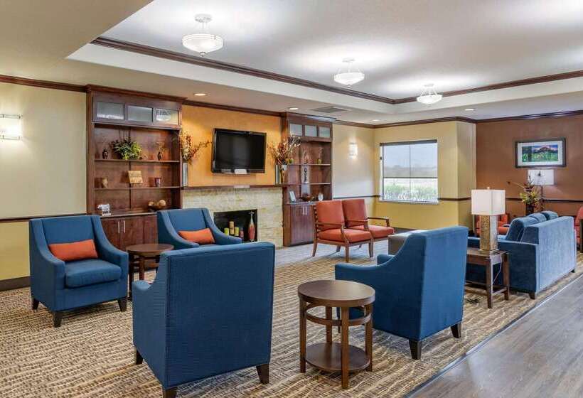 ホテル Comfort Inn & Suites Navasota