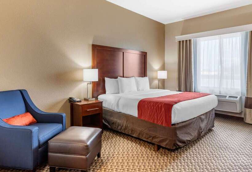 ホテル Comfort Inn & Suites Navasota
