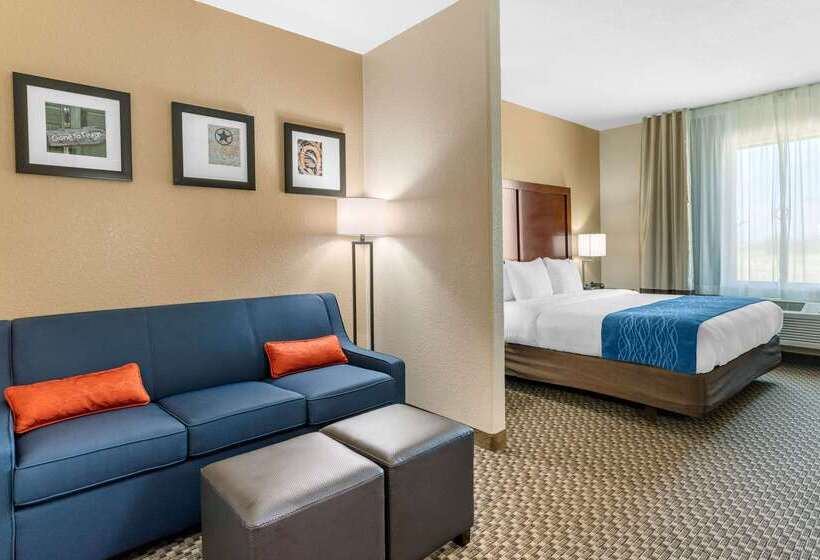 ホテル Comfort Inn & Suites Navasota