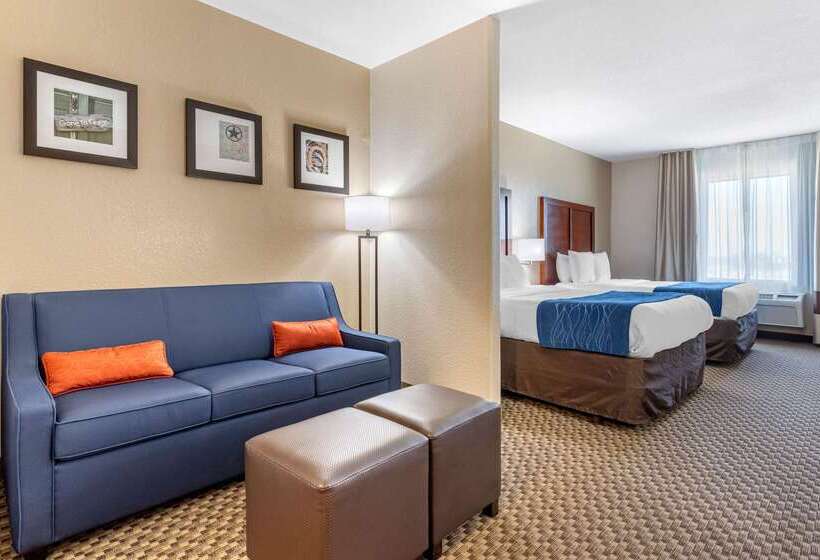 ホテル Comfort Inn & Suites Navasota