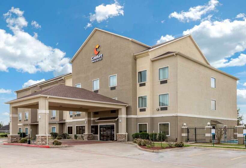 ホテル Comfort Inn & Suites Navasota