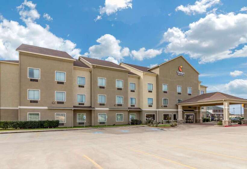 ホテル Comfort Inn & Suites Navasota