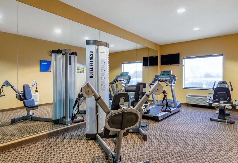 ホテル Comfort Inn & Suites Navasota