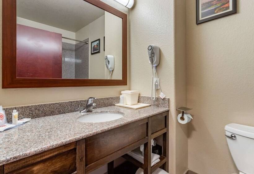 ホテル Comfort Inn & Suites Navasota