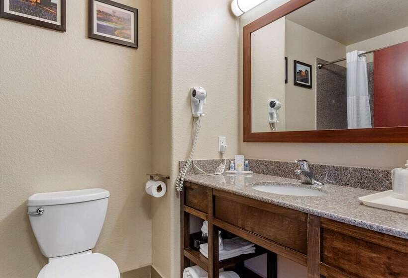 ホテル Comfort Inn & Suites Navasota