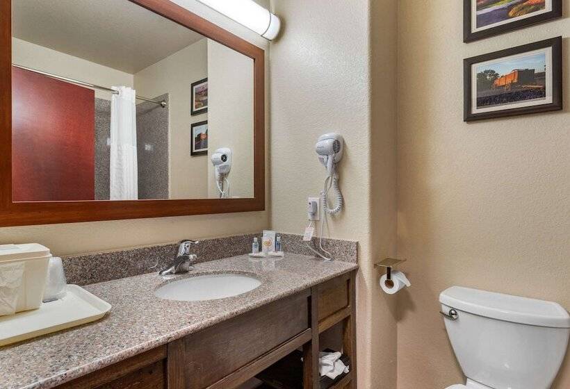 ホテル Comfort Inn & Suites Navasota