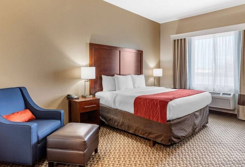 ホテル Comfort Inn & Suites Navasota