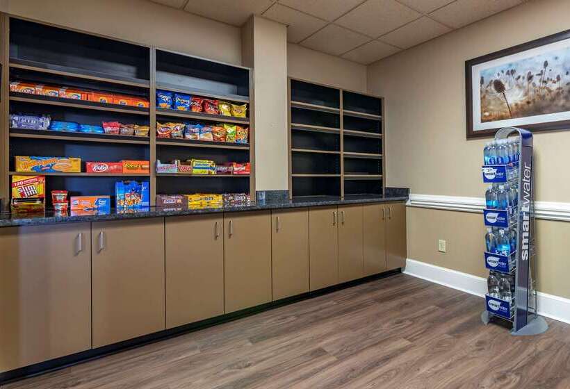 فندق Comfort Inn & Suites