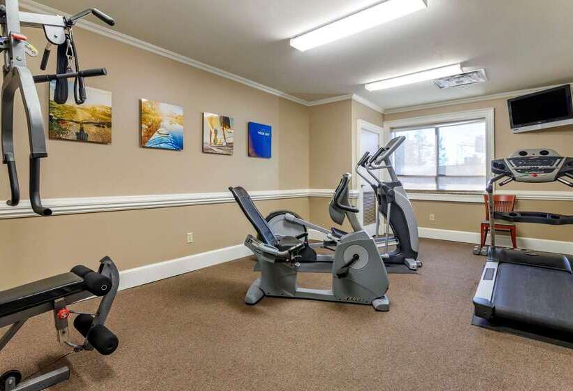 فندق Comfort Inn & Suites