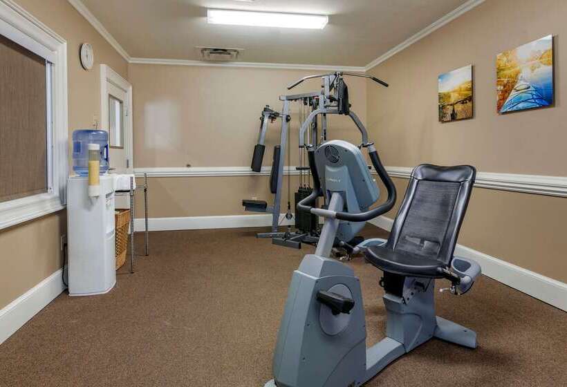 فندق Comfort Inn & Suites