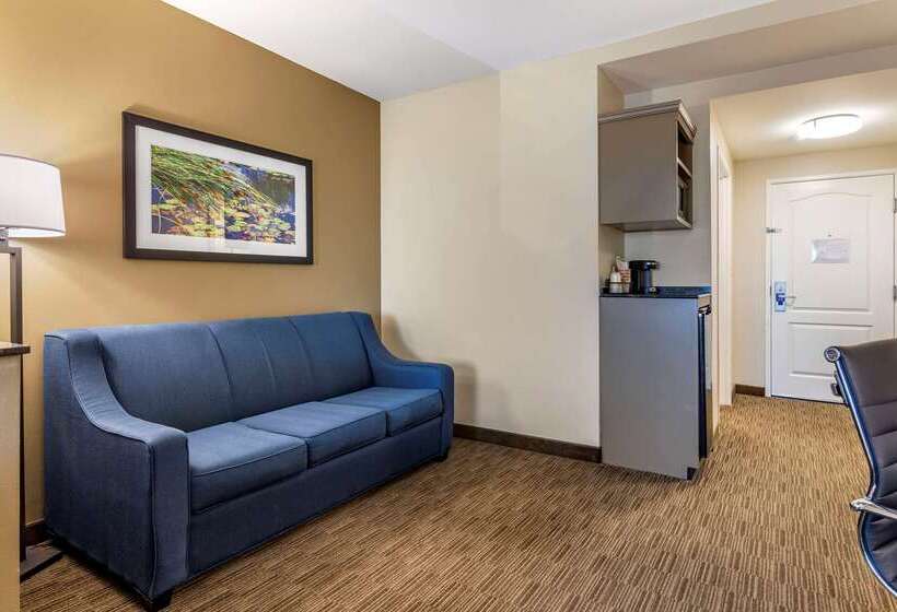 فندق Comfort Inn & Suites