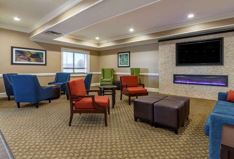 فندق Comfort Inn & Suites