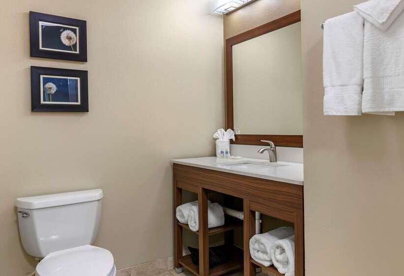 فندق Comfort Inn & Suites