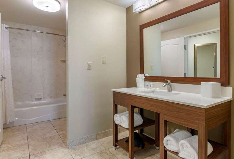 فندق Comfort Inn & Suites