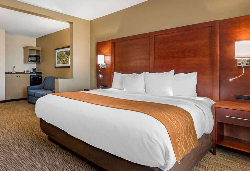 فندق Comfort Inn & Suites
