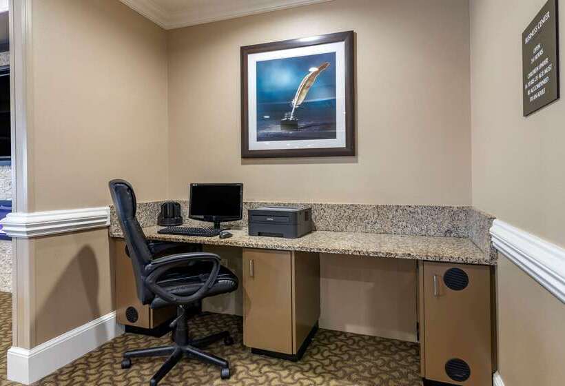 فندق Comfort Inn & Suites