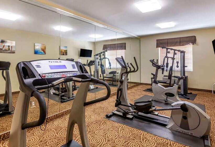 فندق Comfort Inn & Suites