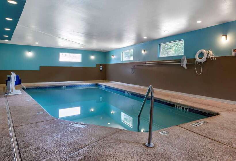 فندق Comfort Inn & Suites