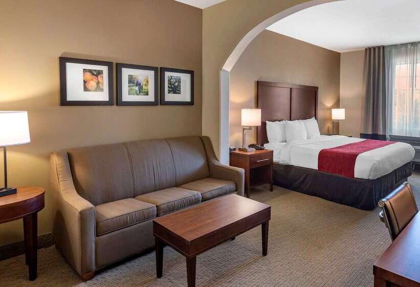 فندق Comfort Inn & Suites