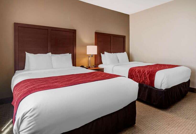 فندق Comfort Inn & Suites