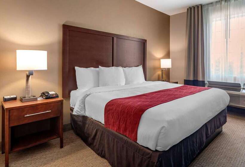 فندق Comfort Inn & Suites