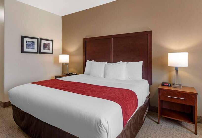 فندق Comfort Inn & Suites