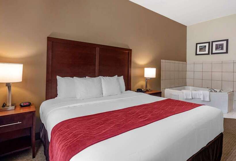 فندق Comfort Inn & Suites