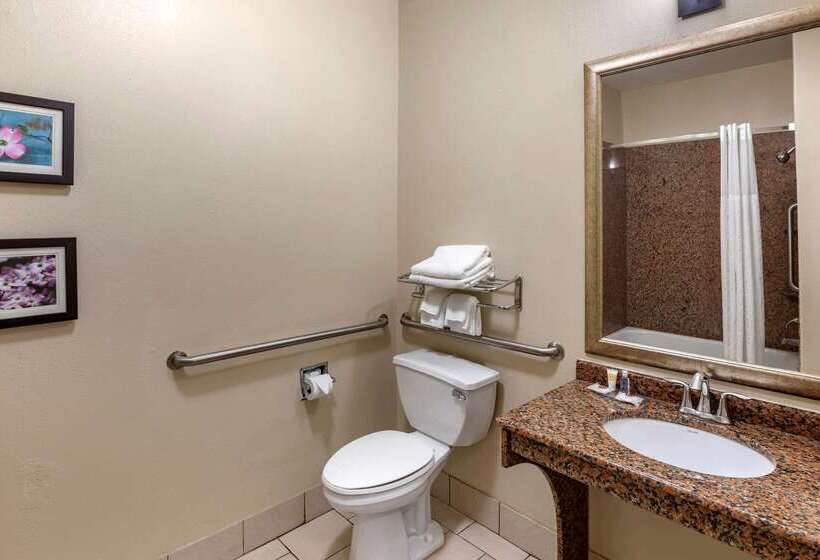 فندق Comfort Inn & Suites