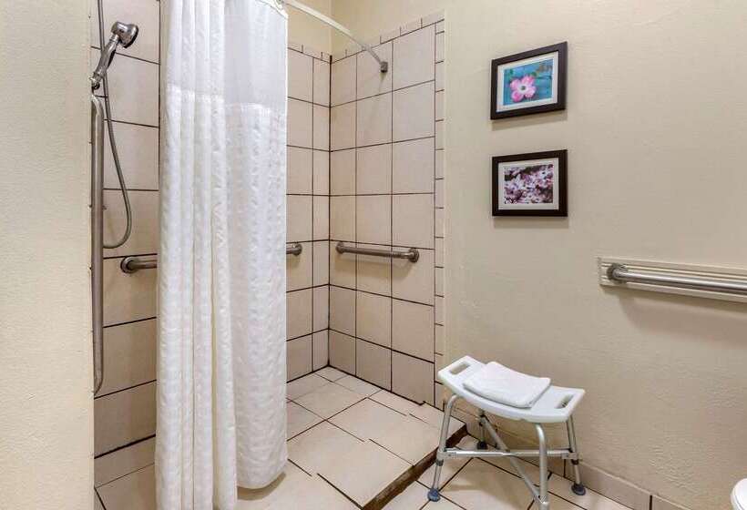 فندق Comfort Inn & Suites