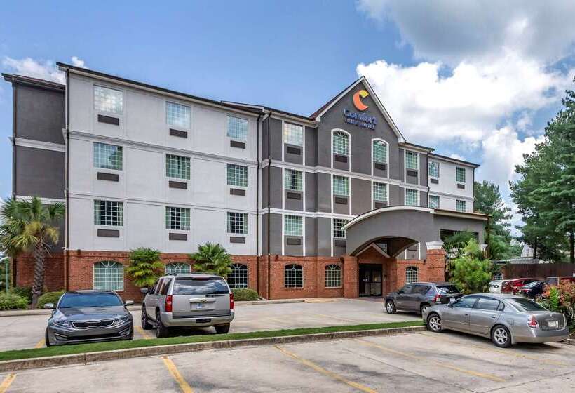 فندق Comfort Inn & Suites