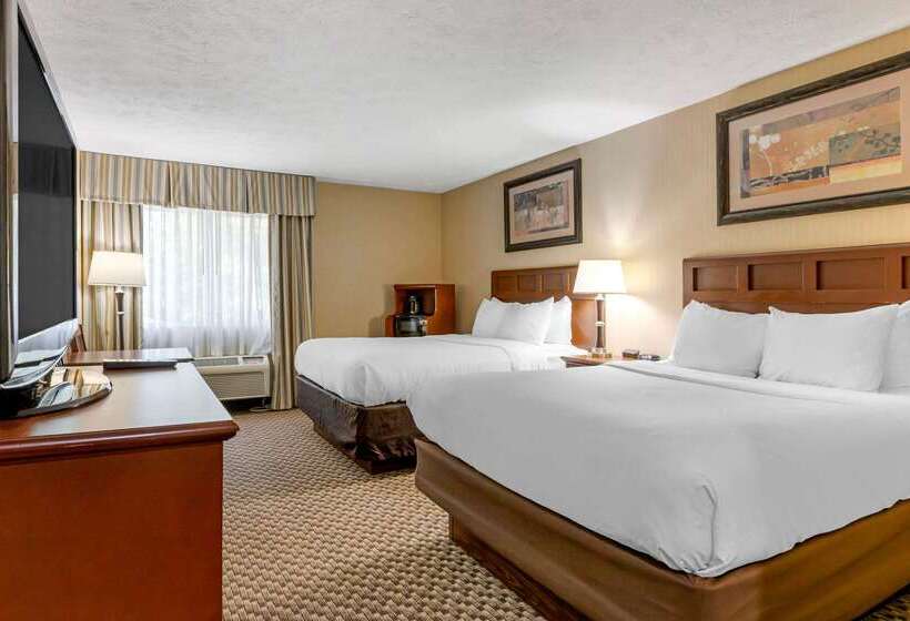 酒店 Comfort Inn Traverse City